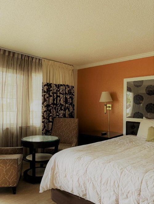 Budget INN At The Heavenly Gondola image 33